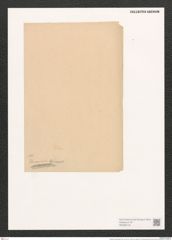 Amphiprora decussata Grun. (de-Toni-Nr.: Genus 29, Species 1319) Zeichnungen Sammlung Grunow (NHMW-BOT-W0369718)
